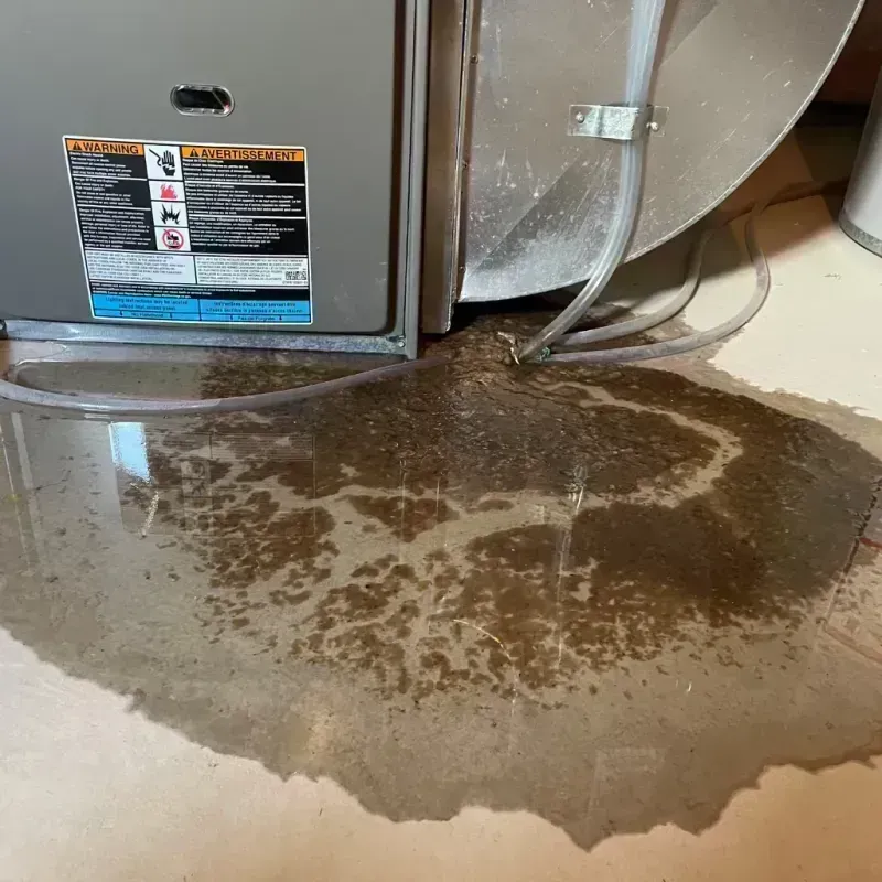 Appliance Leak Cleanup in Lanark, IL